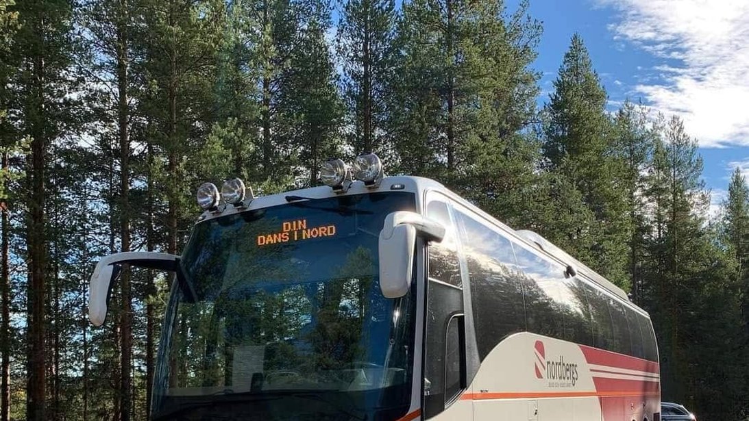 DINs Ungdanskompani 2021_6