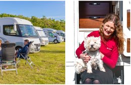 Rekordsommar för svenska campingarna