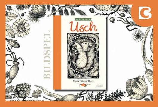 Usch &ndash; bildspel