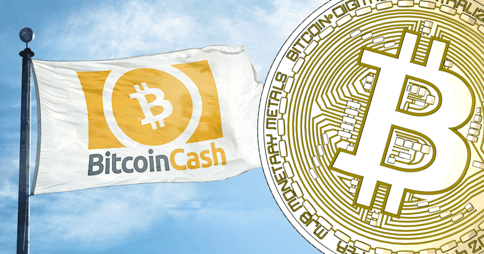 Bitcoin cash fortsätter rusa – är nu världens fjärde största kryptovaluta.