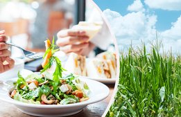 Innovation ska stötta restaurangerna i cirkulärtänk