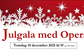 Julgala med opera på Historiska museet