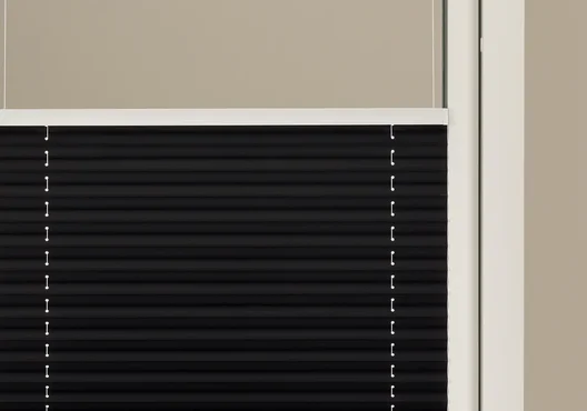 Extra tillval fönster