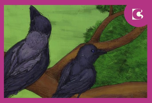 Kråkor – färglägg ur boken