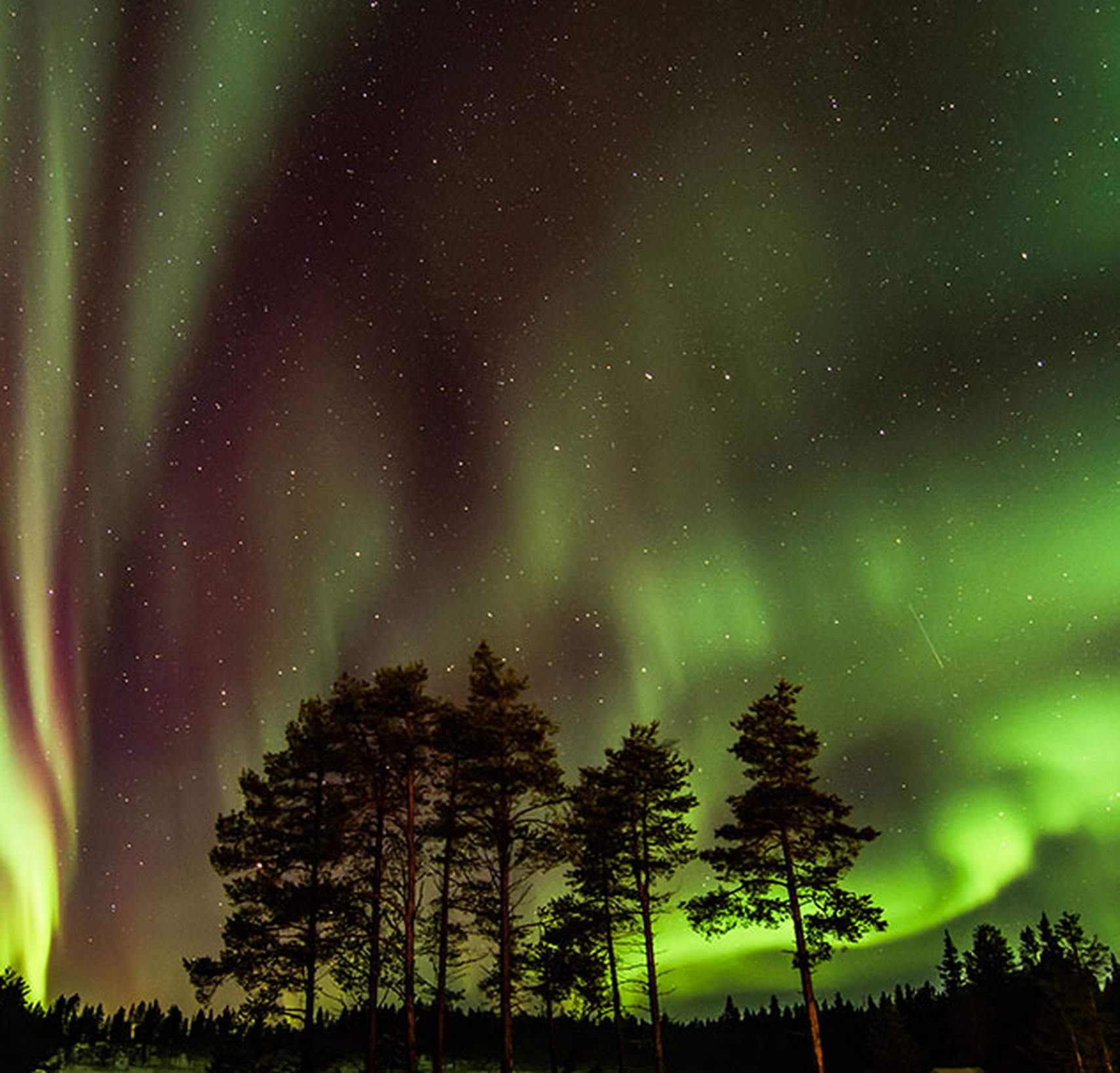 Outdoor North snöskovandring norrsken