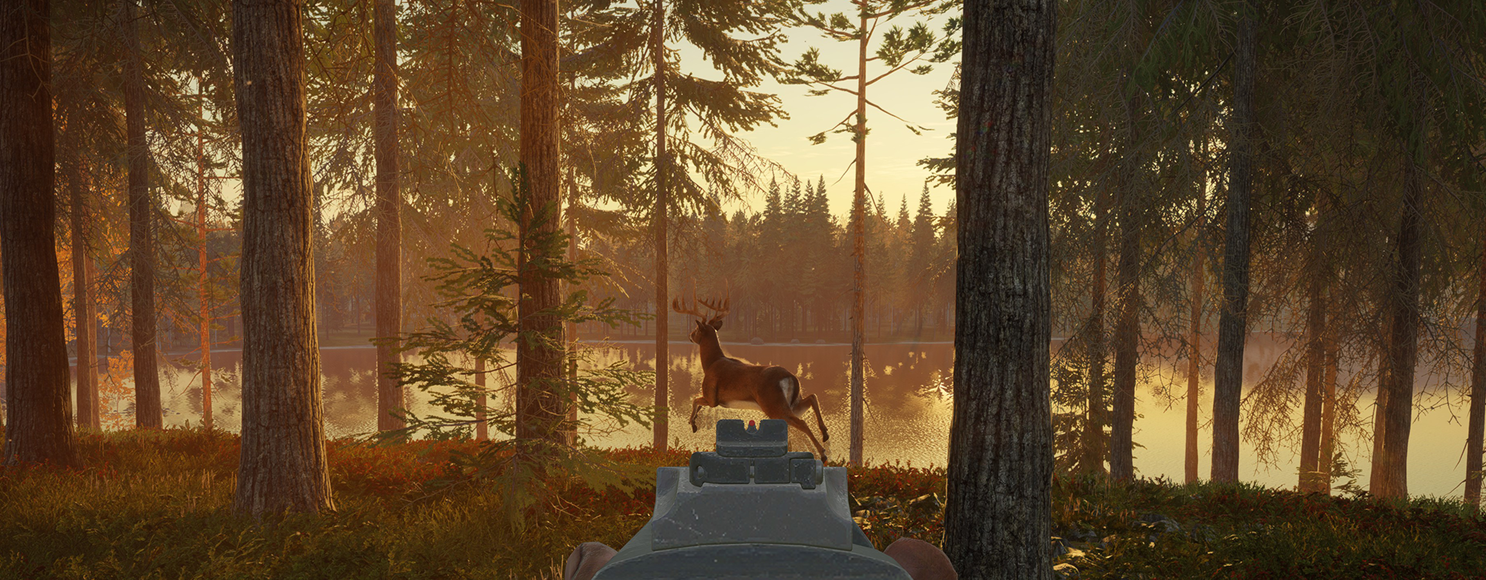 An image of a hunter in woods at sunset with a deer in their sights