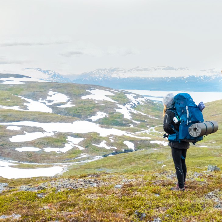 kvinna kollar p&aring; sn&ouml;t&auml;ckta fj&auml;ll under f&ouml;rsommaren