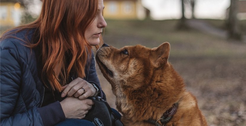 Fler vill ta med hund till hotellet, enligt Knistad Herrgårds Lisa Johansson. Foto: Sara Blomqvist