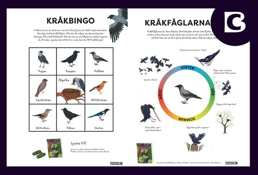 Kråkbingo och affisch kråkfåglarnas år