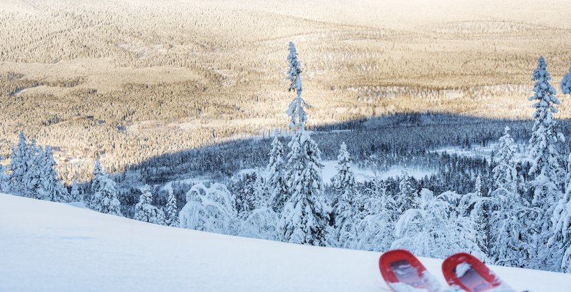 Stöten i Sälen satsar 650 miljoner ihop med samarbetspartners, perioden 2017-2019. Foto: Magnus Dovallius/Stöten