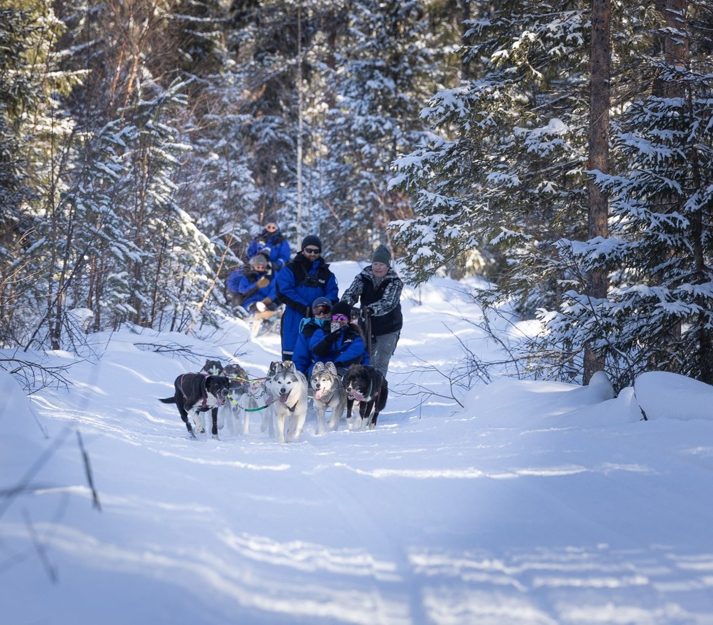 Husky safari from Kukkolaforsen
