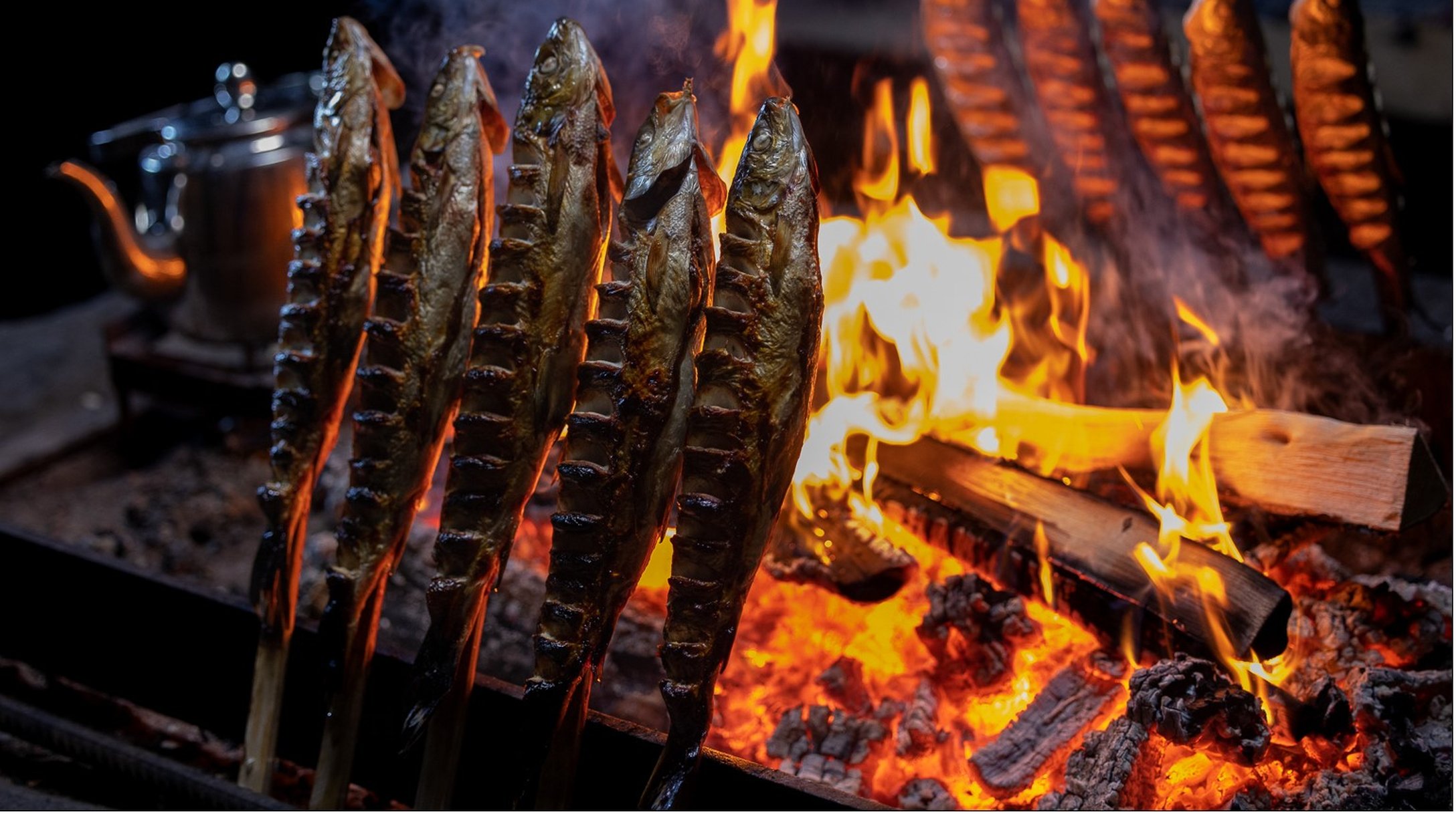 Grillid Whitefish in Kukkolaforsen