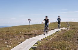 Rusning till fjällsommar