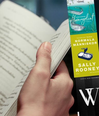 Här är böckerna alla snackade om under 2019