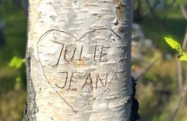 Fröken Julie