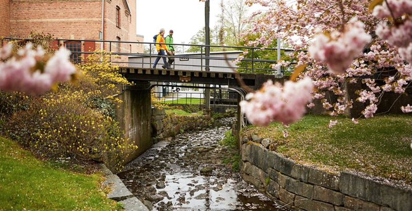 Idag invigs vandringsleden Gotaleden, som går mellan Alinsås och Göteborg. Foto: Pressbild