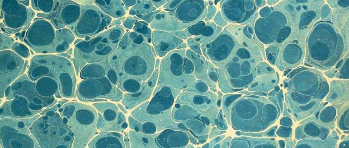 Ax:son Johnson Institute