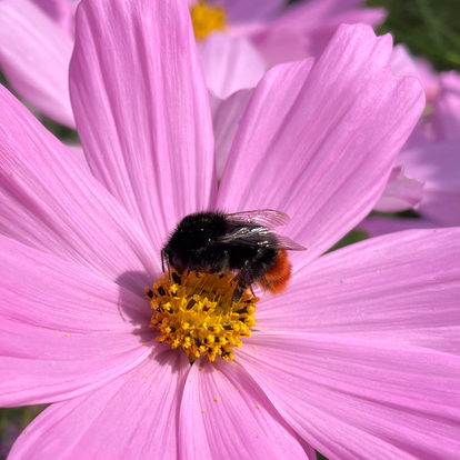 Vi hälsar Camilla Sörensen välkommen till Agio!