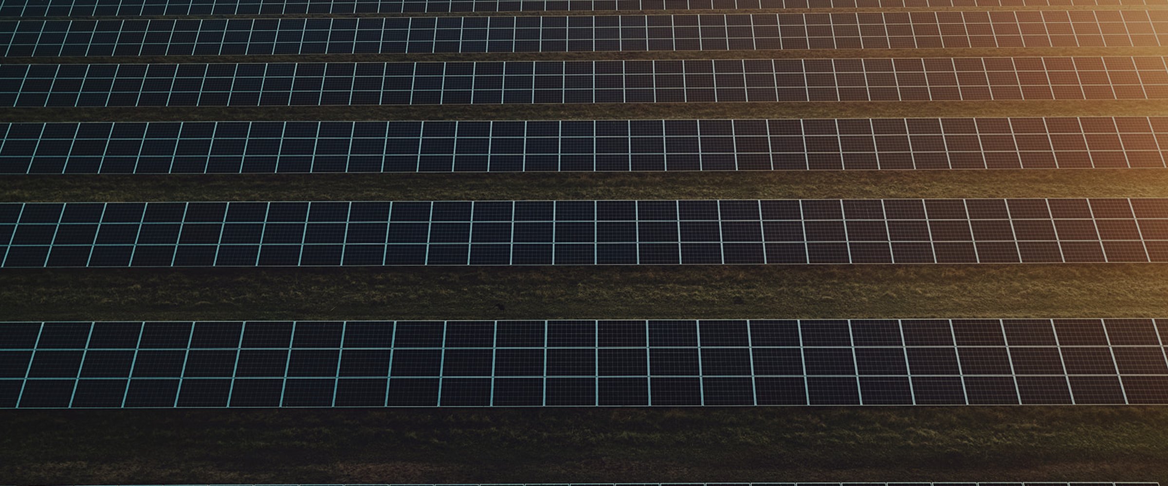 Solpanelrader p&aring; betesmarken i Sj&ouml;bo