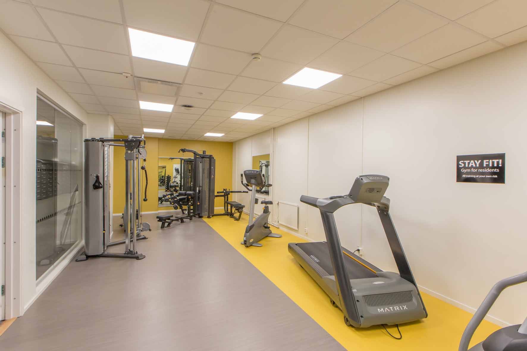 Gym with treadmill, exercise bike, functional trainer, rowing machine, lat pulldown machine and benchpress.