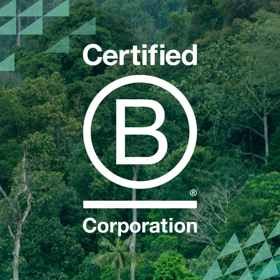 B Corp-logo mot grön skogsbakgrund – symbol för hållbarhetscertifiering