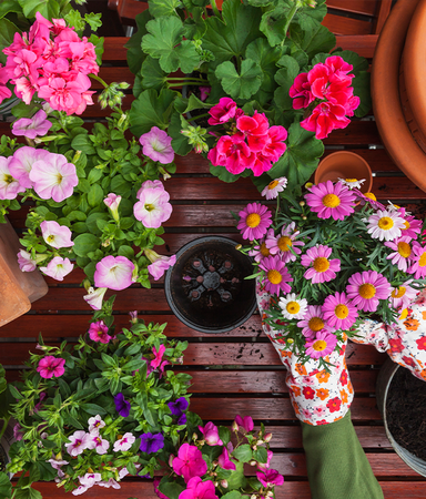 Odla blommor! 7 underbara böcker om blomsterodling