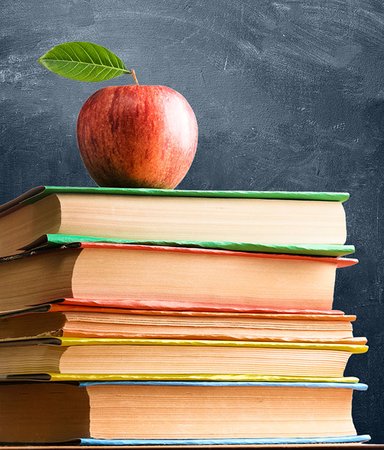 15 klassiker vi fick läsa i skolan