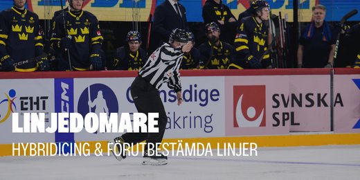 Hybricing och förutbestämda linjer