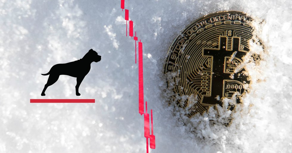 GP Bullhound spår en kryptovinter med nedgångar på 90 procent.