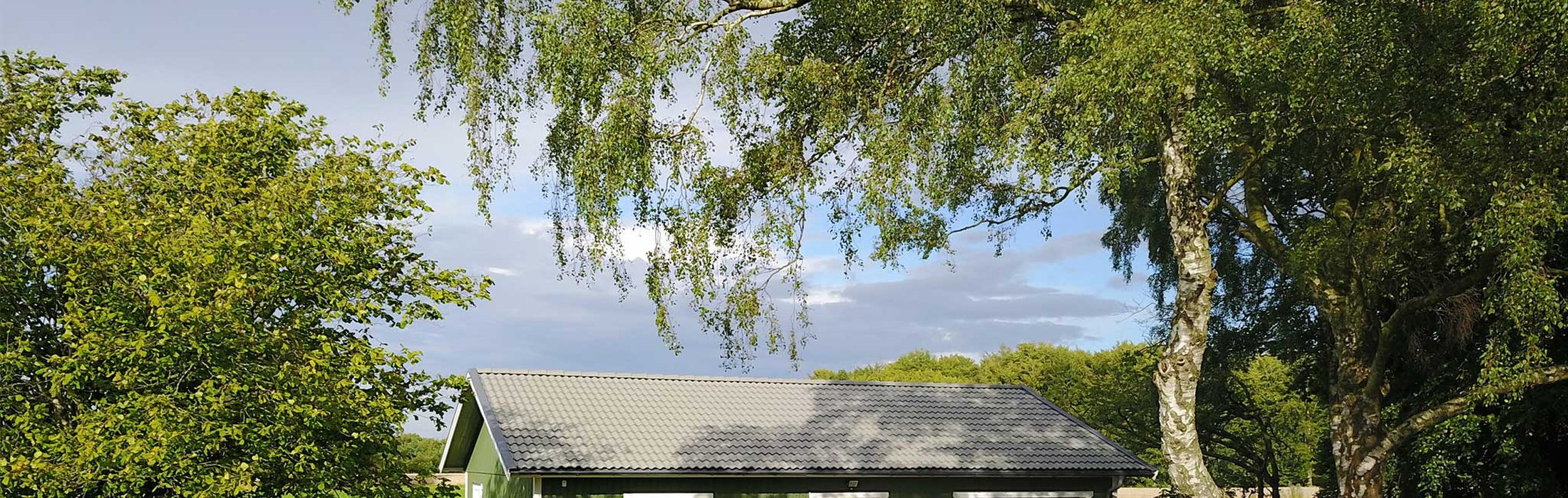 Shed