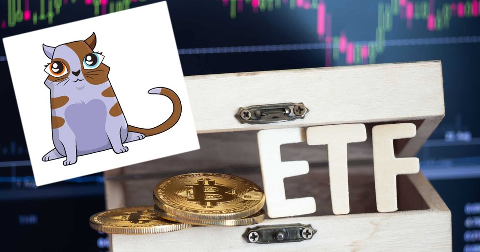 Daily crypto: CEO believes in bitcoin ETF within one year and cryptokitty sold for $172 000.