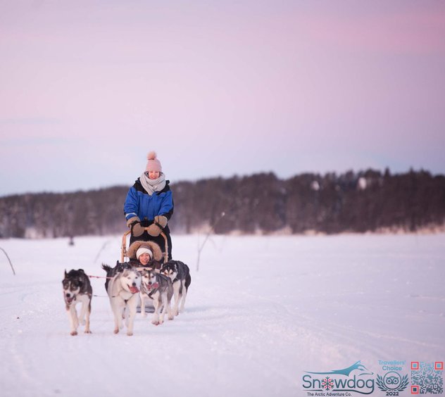 Snowdog arctic afternoon eco experience