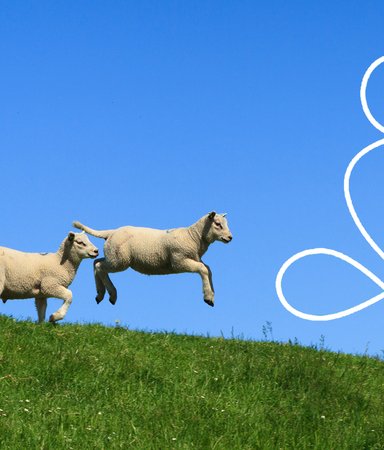 Böcker som bjuder stillhet som motkraft till samhällsstressen