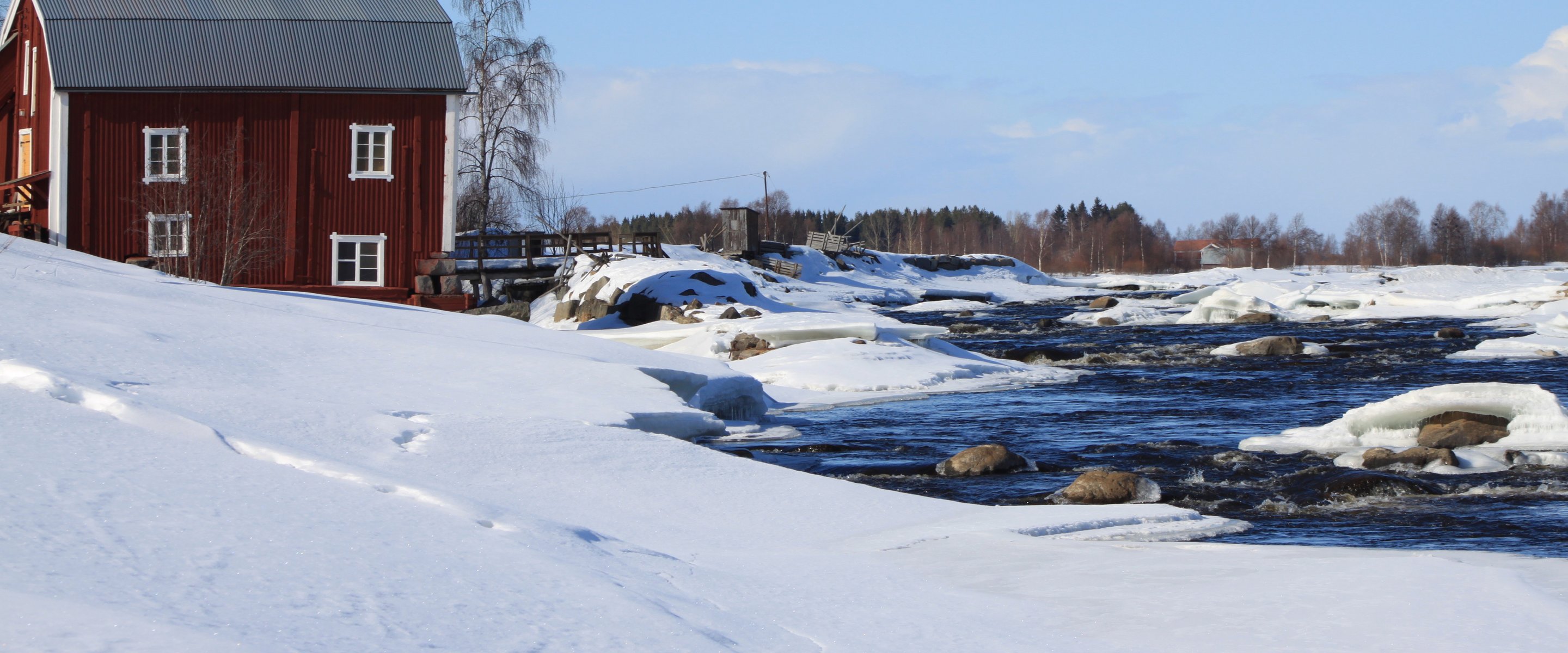Open water in the rapids all year round in Kukkolaforsen