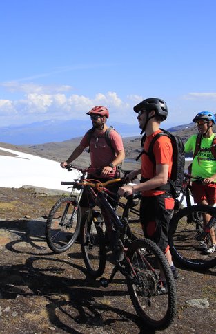 Guided mountain bike tour group on rocky path in Swedish Lapland