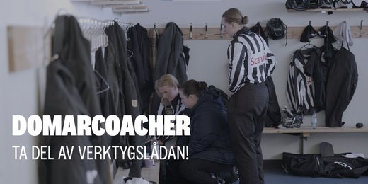 Verktygslåda för domarcoacher