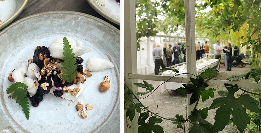 Foto: Rosendals Trädgård
