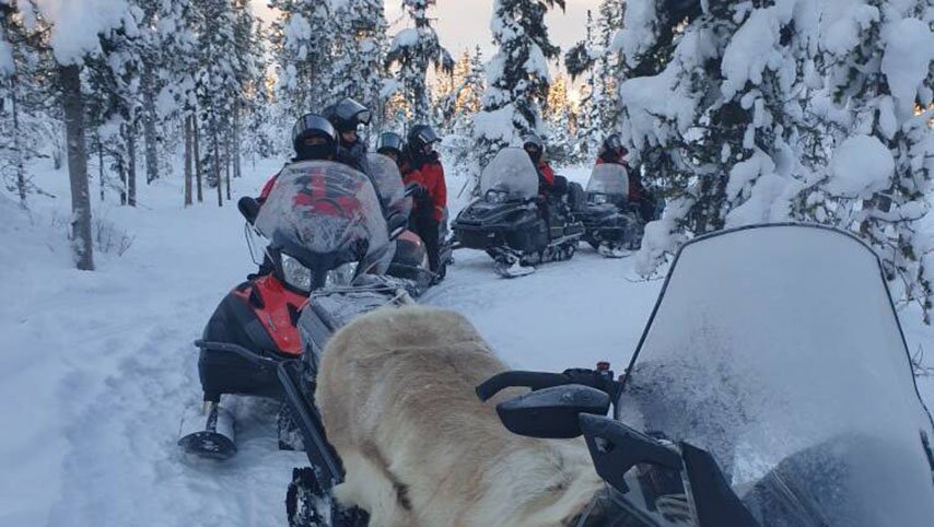Snowmobile tour with arctic dogsled adventure