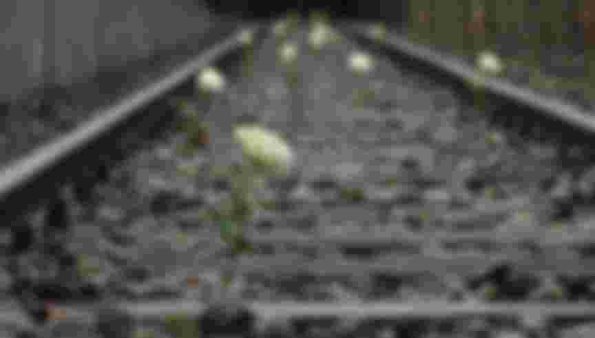 A white rose planted on Track 19, a memorial to commemorate the transportation of Berlin Jews to concentration camps during the Second World War.