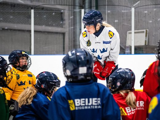 Introduktion för dig som är tränare inom ishockeyn