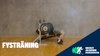 Fysövning: Bänkpress
