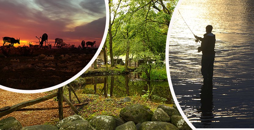Mikrostödet riktade sig till företag för att utveckla en ny tjänst eller produkt som rör internationalisering eller digitalisering. Foto:Colourbox