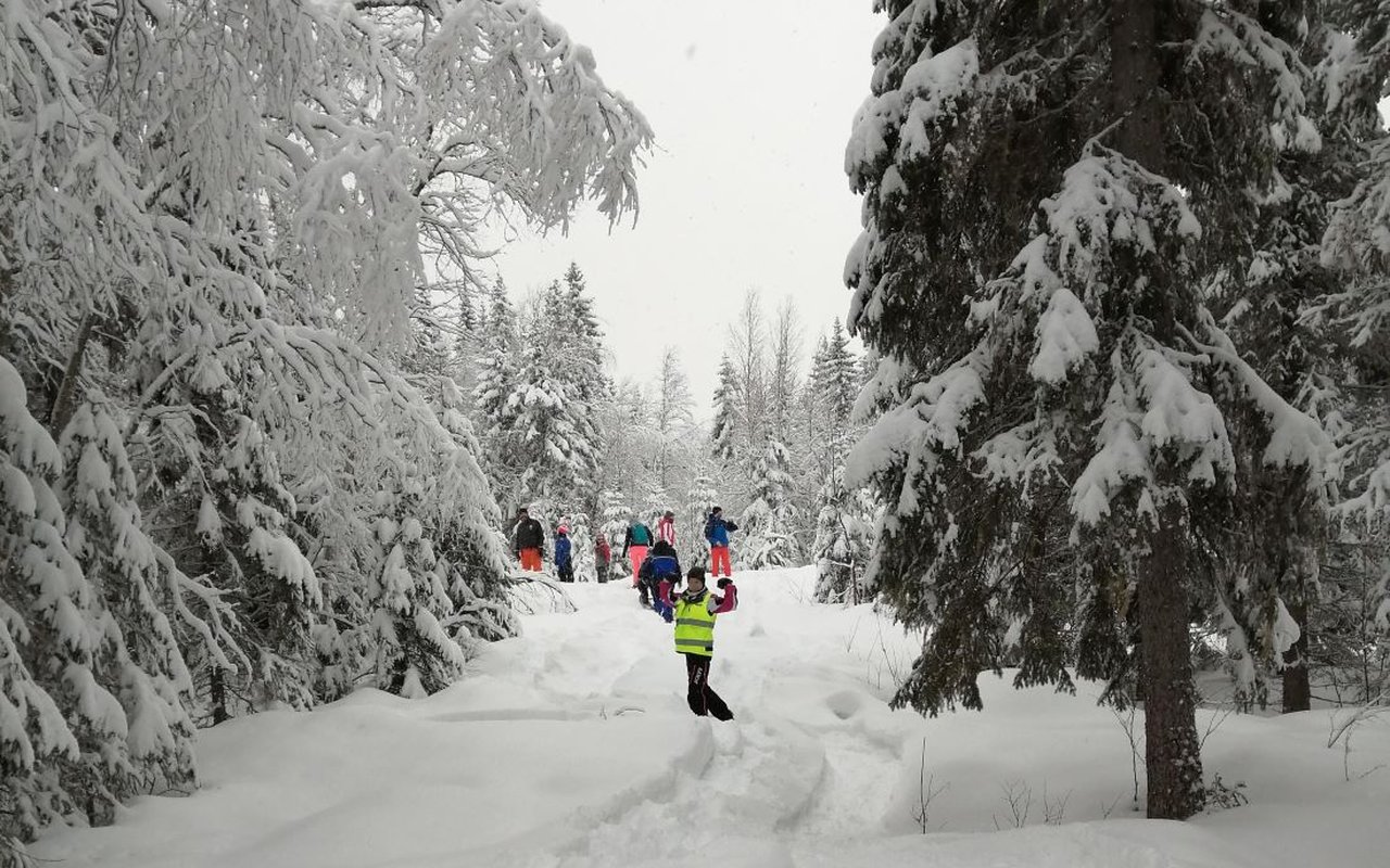 Snowshoe hike in the Kukkola forest