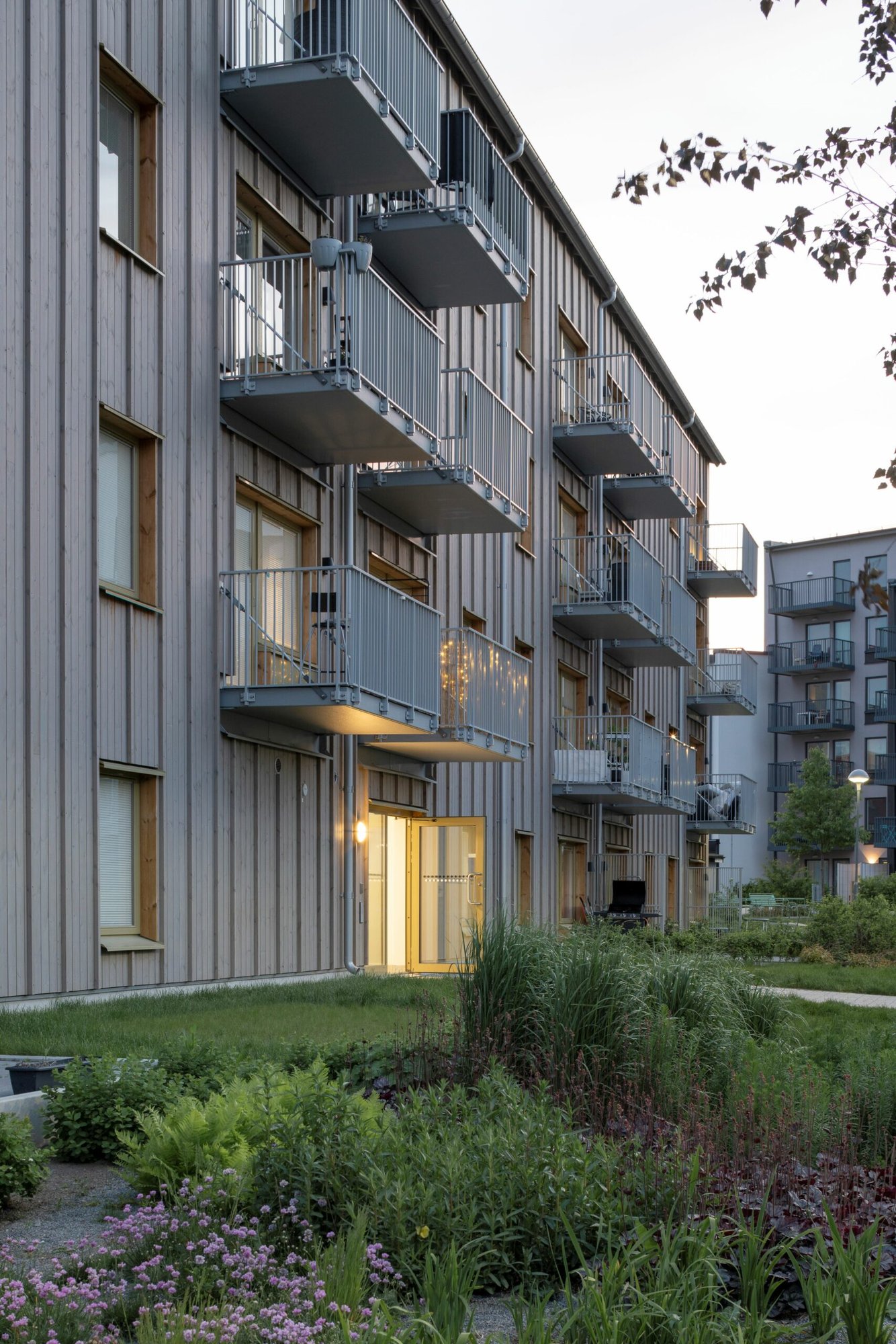 Bäcklösa, bild 7 av 11