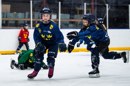 Föreläsning inom NPF