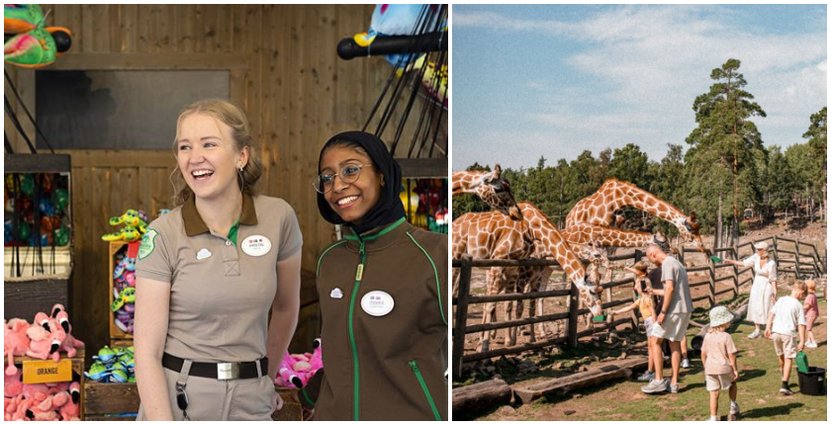 Kolmården är finalist till utmärkelsen ”Environmental Sustainability Award”. Foto: Pressbilder