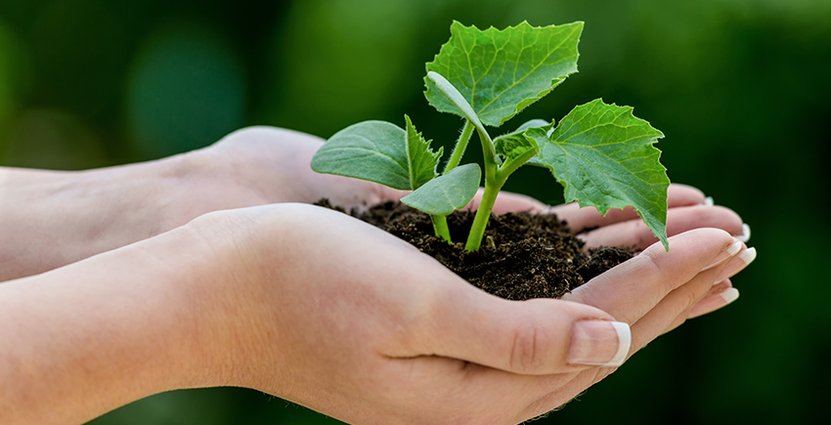 Världsledande på hållbarhet. Sodexo topprankas på nytt av Dow Jones. 