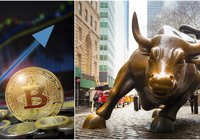 The crypto market continues to rise – 