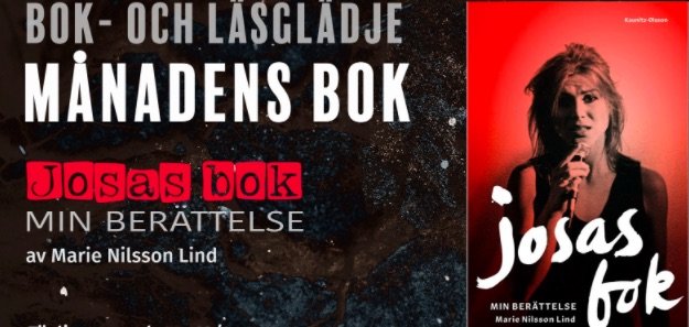 Snacka böcker från soffan – här är bokgrupperna på nätet
