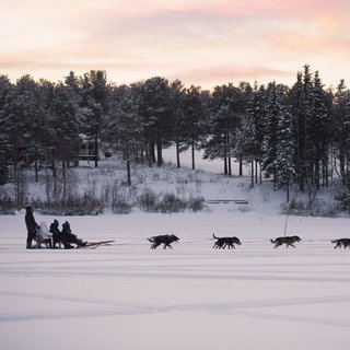 Snowdog Sunset zen husky tur